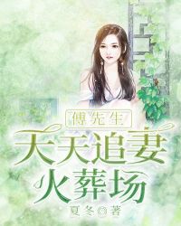傅先生今天追妻火葬场